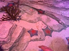 -沈阳海洋探索中心