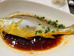 蒸黄鱼-君来梁溪饭店-餐厅