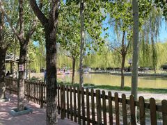 -杨柳青庄园