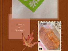 -奈雪的茶(中海环宇荟店)