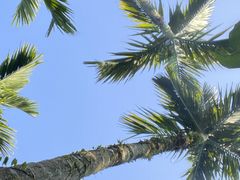 -亚马逊丛林水乐园