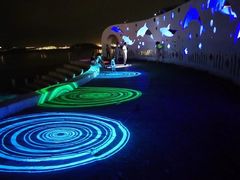 -海沧湾公园