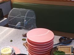 -争鲜回转寿司(太阳宫凯德PLUS店)