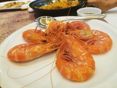 -欢乐海岸美食联盟