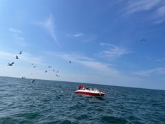 -养马岛旅游度假区