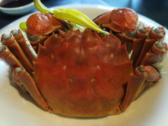 清蒸大闸蟹-蟹榭·本帮江浙菜·蟹宴(五角场合生汇商场店)