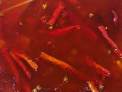 -鸽子侯·家宴·平价海鲜(市图书馆店)