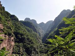 -雾灵西峰