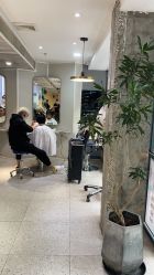点击看大图 -PE SALON