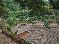 -杨家堂村