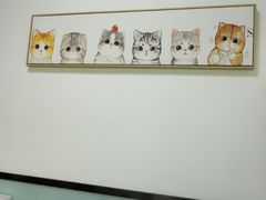 -嘉馨宠物医院·CT影像转诊·心脏科·犬猫全科诊疗中心(下沙大学城院区)
