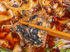 -鸿顺老铁锅美蛙鱼府(解放碑店)
