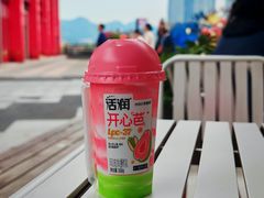 -一只酸奶牛(八一路店)