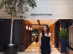 -新加坡乌节希尔顿酒店 (SG Clean)