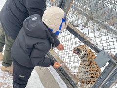 -横道河子东北虎林园
