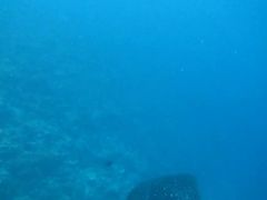 -中央格兰德岛温泉度假酒店 - 全包