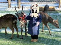 -俄罗斯风情小镇