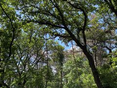 -萨尔浒风景区