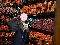 -E·S哈利正版魔法袍出租体验馆