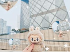 -中央广播电视总台(光华路办公区)