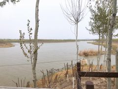 -西青郊野公园
