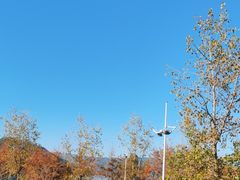 -宝荣鱼馆·临湖之宴(千岛湖店)