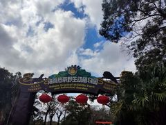 -海南热带野生动植物园