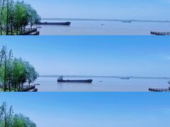 -湖南东洞庭湖国家级自然保护区