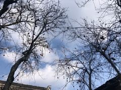 -西园寺