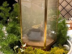 -王品牛排(北京新辰里亚运村店)