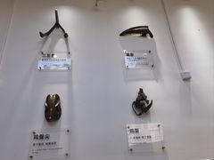-萍姨抻面馆·鸡架冒菜(清湖店)