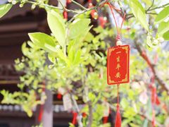 -雅达·阳羡溪山小镇中心