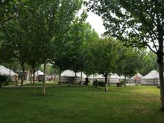 -九十九顶毡房(阜石路店)