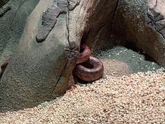 -苏州海洋馆