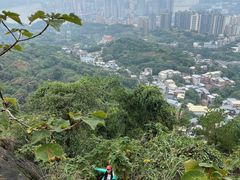 -南山植物园