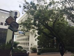 -香港大学