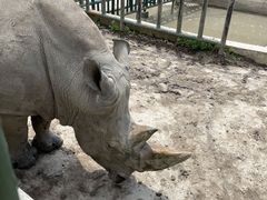 -哈尔滨北方森林动物园