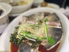 -七菜馆·东北菜·蒸饺(文体路店)