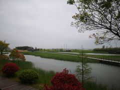 -苏州太湖湖滨国家湿地公园