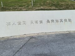 -荷兰花海