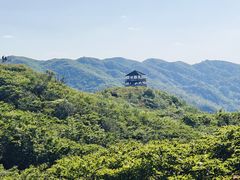 -大围山国家森林公园
