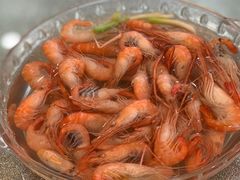 -呼吸森林·生态农庄农家乐私房菜