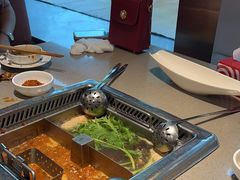 -海底捞火锅(龙岗星河COCO Park店)