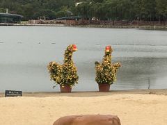 -上海月湖雕塑公园
