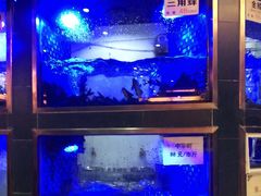 -沱江鱼府(丽江店)
