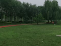 -林栖谷森林康养度假区