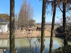 -上海长兴岛郊野公园