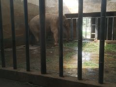 -石家庄市动物园