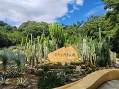 -深圳仙湖植物园