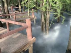 -东湖落雁景区